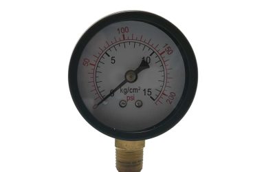 Manómetro Seco