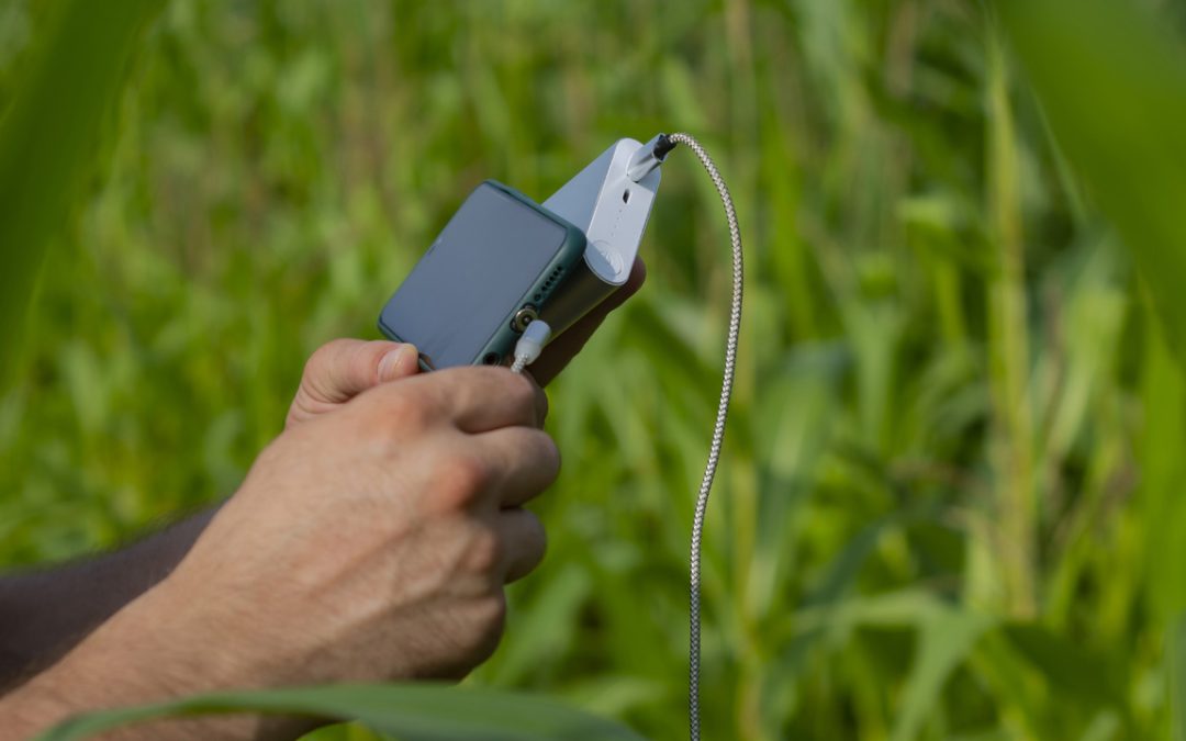 Analizador de granos agrícolas portátil: su aliado en el campo