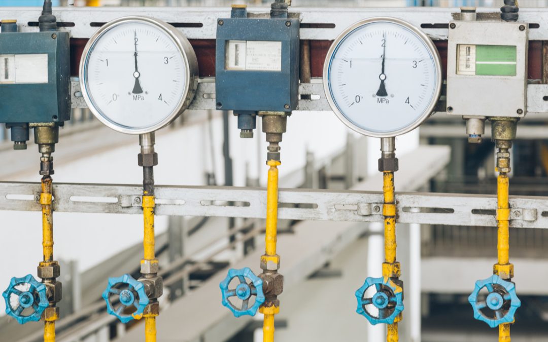 Medidor de presión seca vs glicerina diferencias: Guía completa para elegir el adecuado