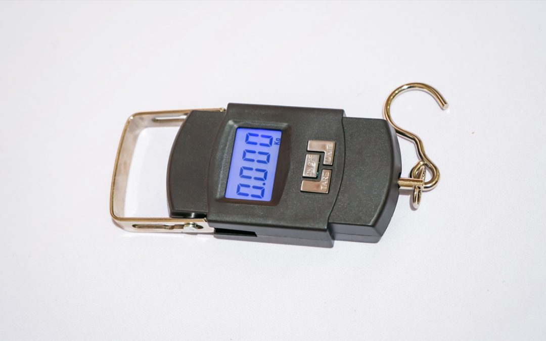 Mini balanza digital para ingrediente con calidad