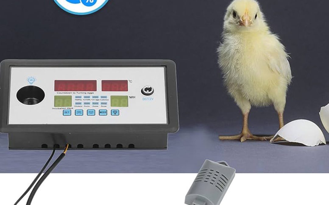 Termostato para incubadoras: controle la temperatura