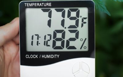 Medidor de temperatura y humedad relativa: la herramienta clave para un control eficiente