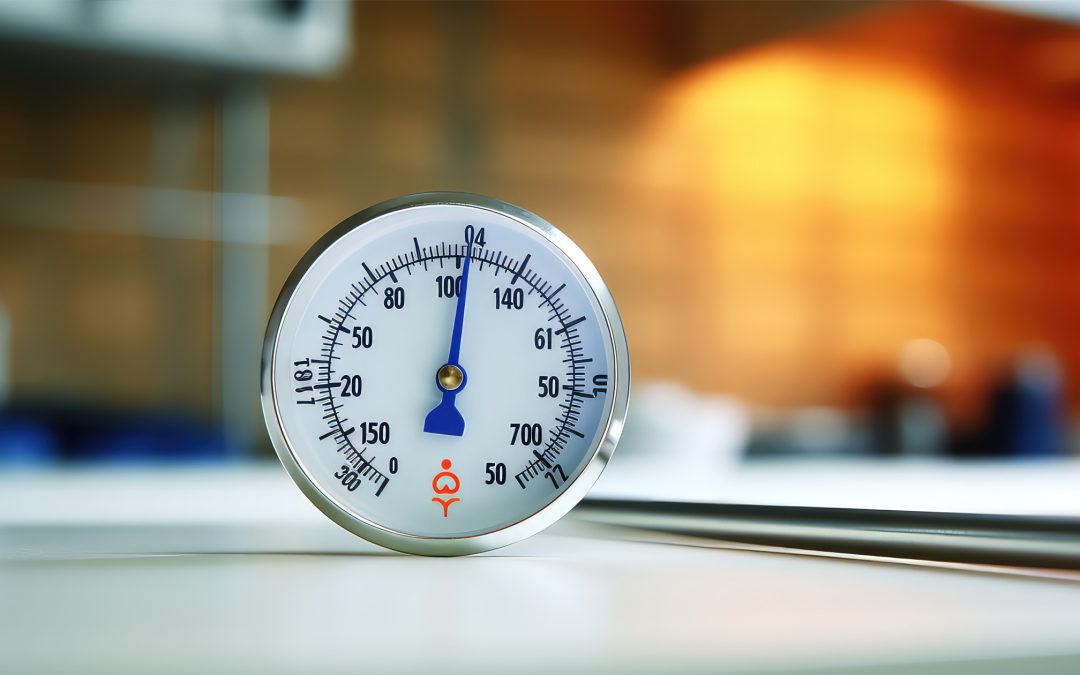 Venta Termohigrómetro Análogo en Casa del Control Wisconsin