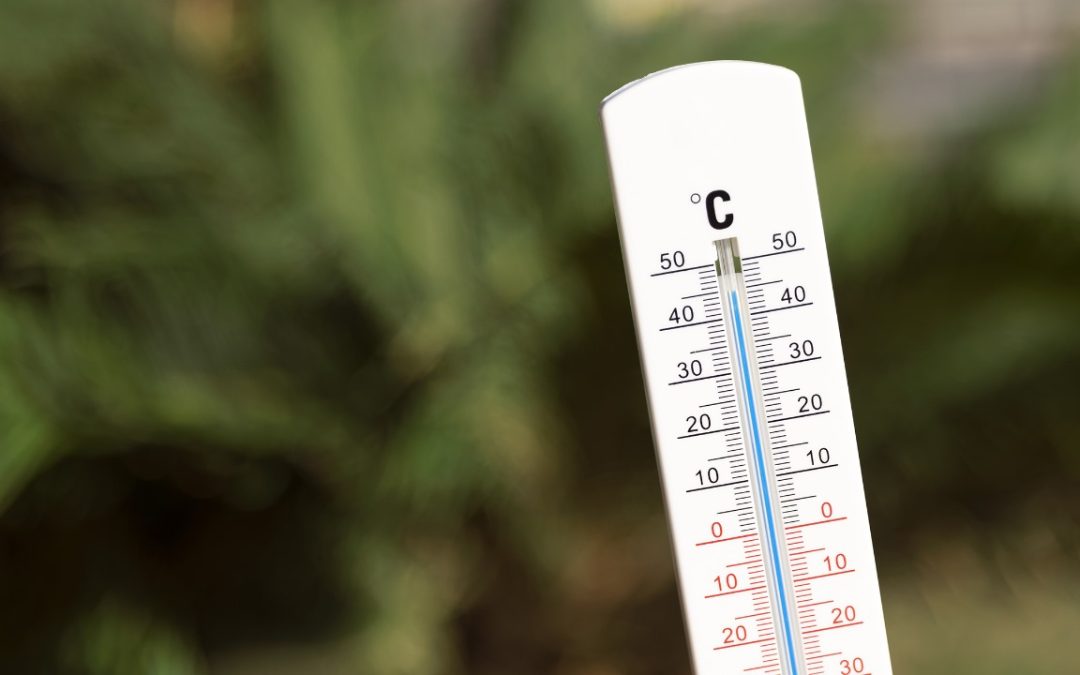 Control Climático Perfecto: Guía Completa sobre Venta de Termómetros Ambiental