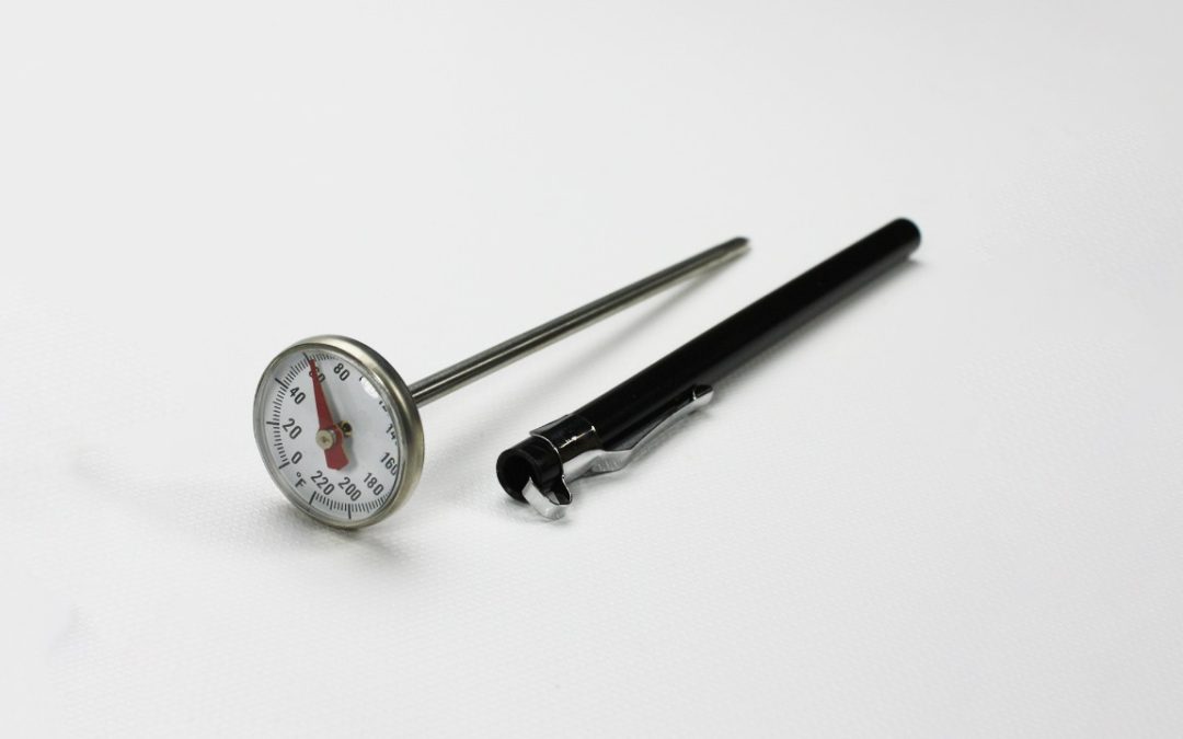 Control Térmico Exacto: Guía Completa sobre Venta de Termómetros Punzón