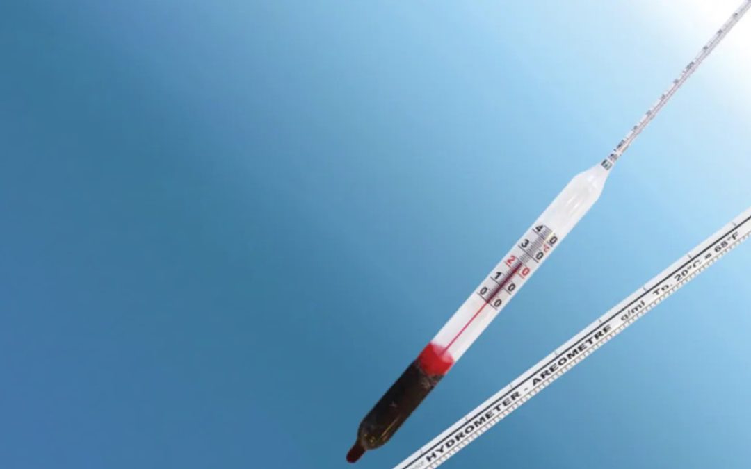 Control de Calidad Exacto: Guía Completa sobre Venta de Densímetros Profesionales