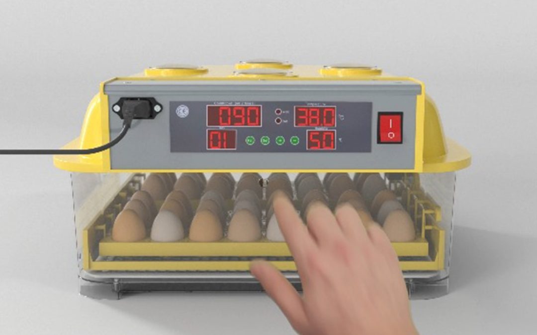 Incubadora de huevos: la herramienta clave para optimizar tu producción avícola