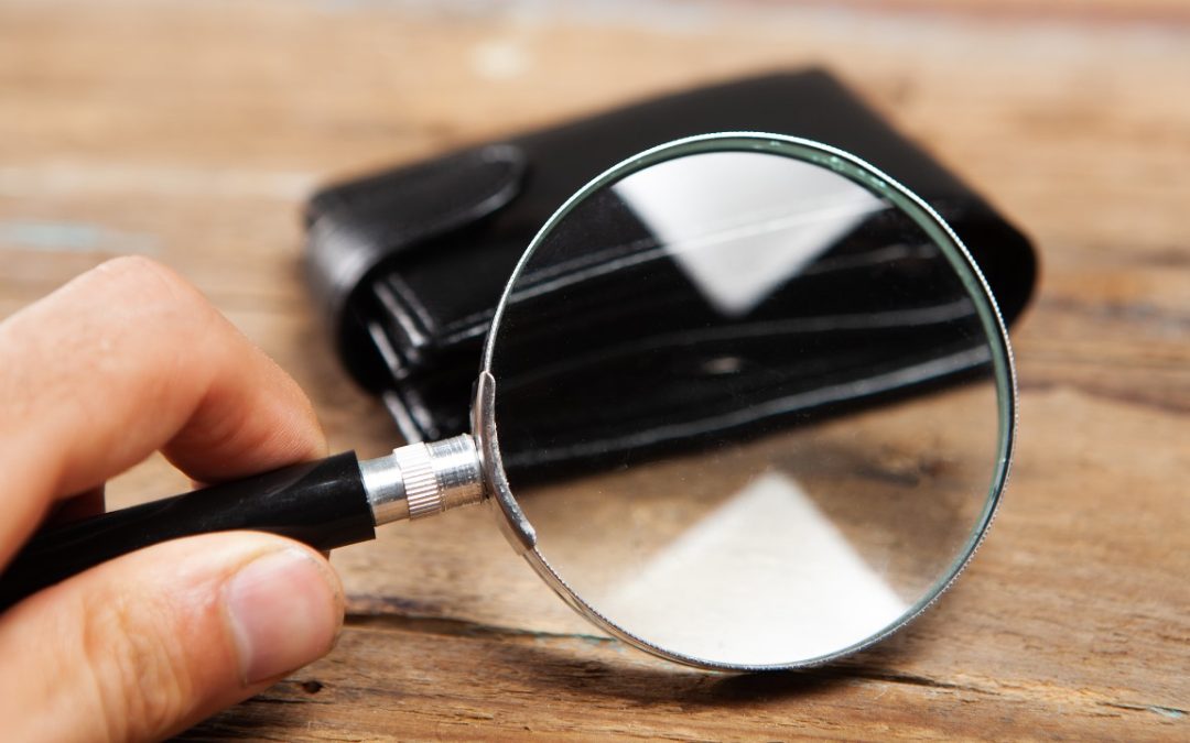 Lupas: precisión, claridad y confianza en cada observación