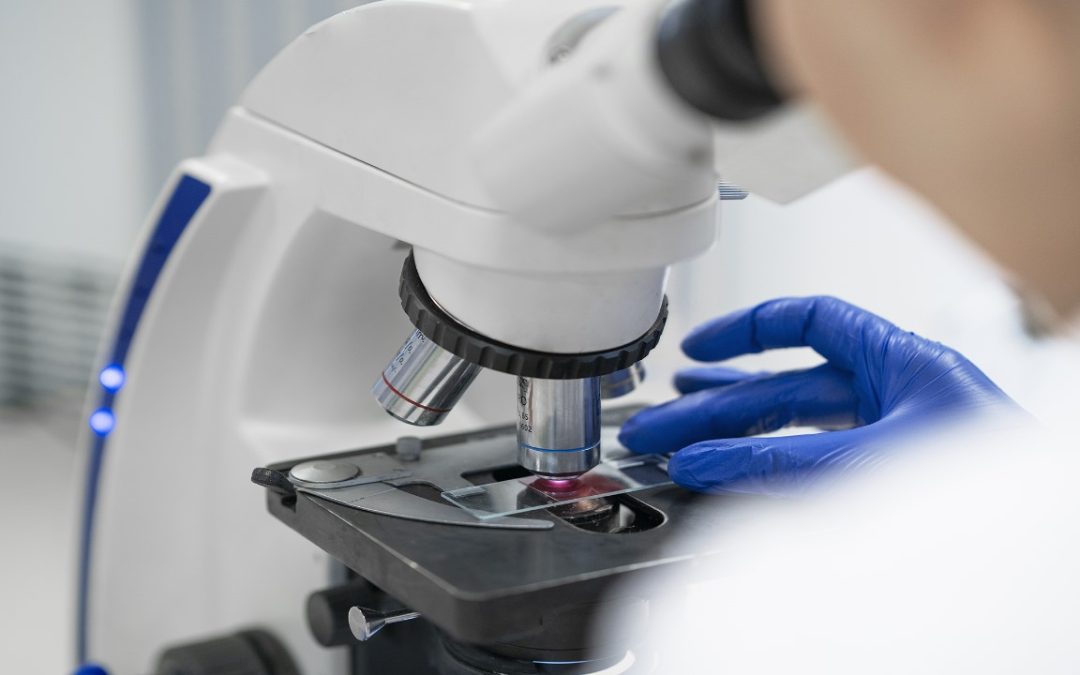 Microscopios para análisis precisos ¡Descúbrelos aquí!