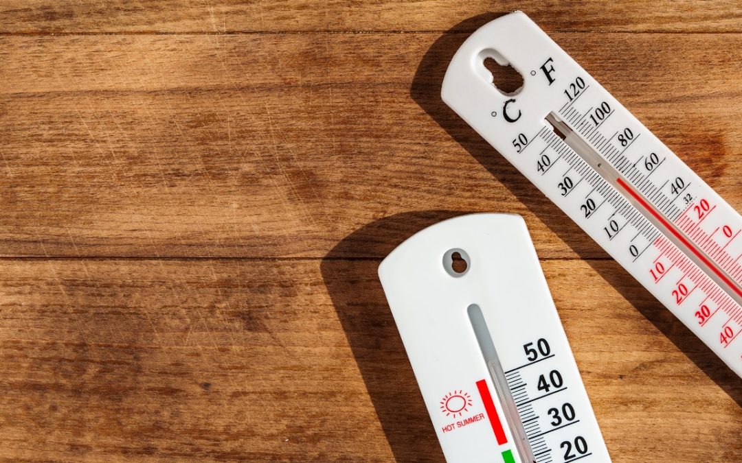 Termómetros de precisión: la clave para una medición confiable