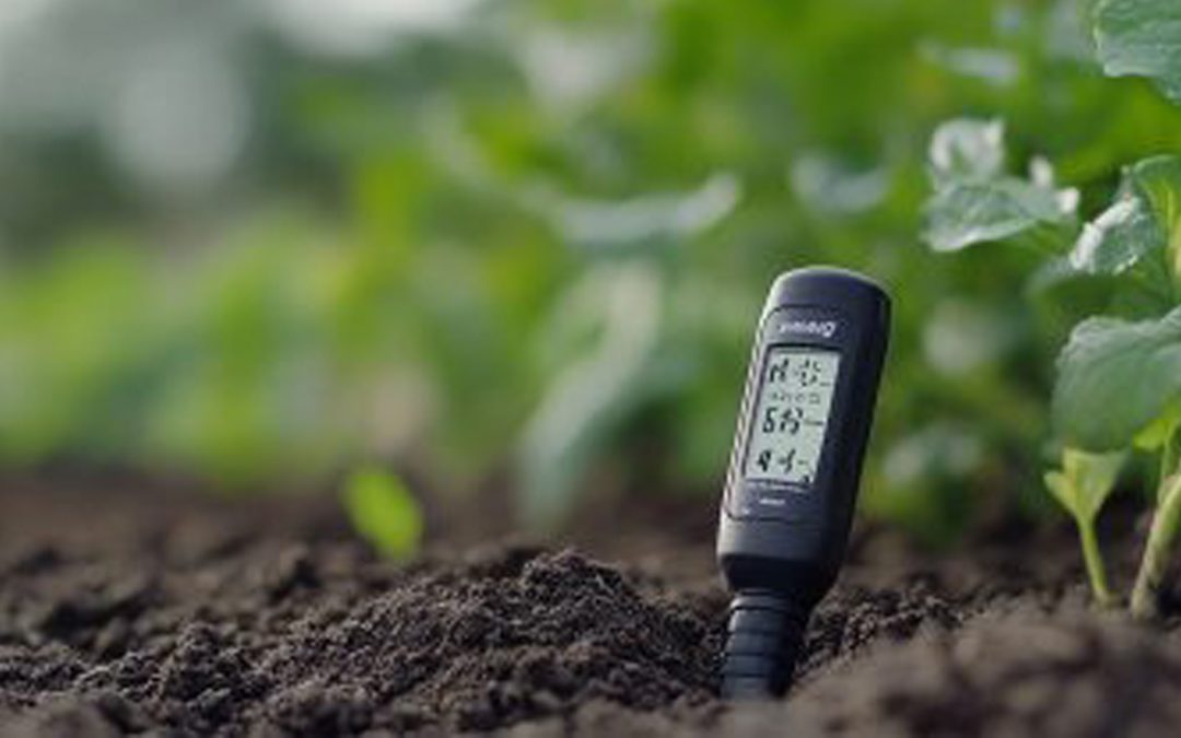 PHMETRO: La herramienta esencial para una medición precisa y profesional