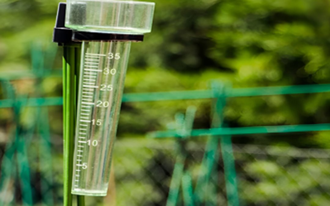 PLUVIOMETRO: La herramienta esencial para mediciones precisas que impulsa tus proyectos con Casa del Control Wisconsin