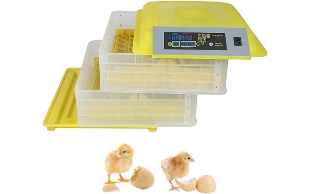 Incubadora: la solución esencial para laboratorios modernos y procesos de control confiables