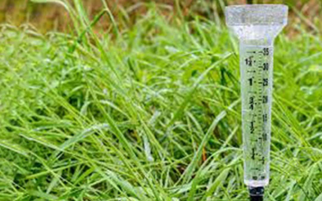 Pluviometro: el instrumento esencial para la medición profesional de la precipitación