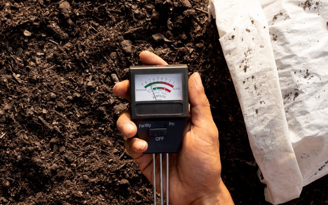 Medidor humedad granos: Precisión clave para el control agrícola e industrial