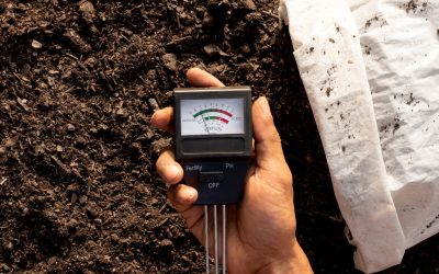 Medidor humedad granos: Precisión clave para el control agrícola e industrial