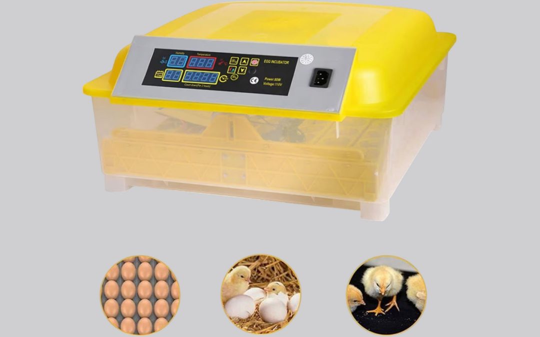 Incubadora de huevos de pollo: tecnología que impulsa resultados