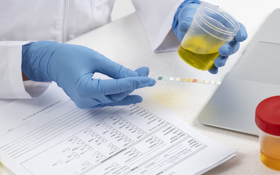 Medición de pH: precisión que impulsa el control industrial