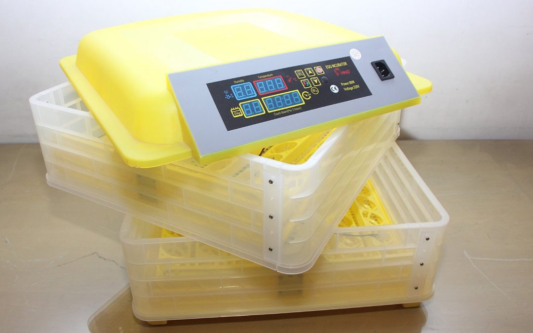 Incubadoras de huevo en venta: tecnología que impulsa tu producción