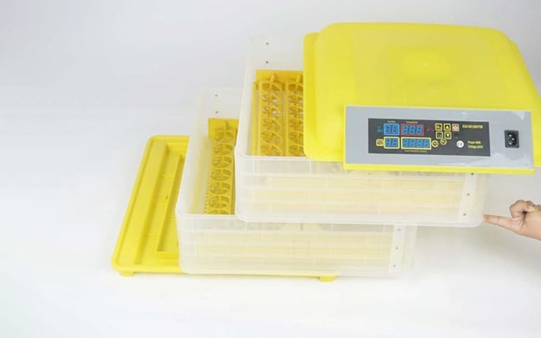 Guía completa para comprar incubadora de huevos con respaldo profesional