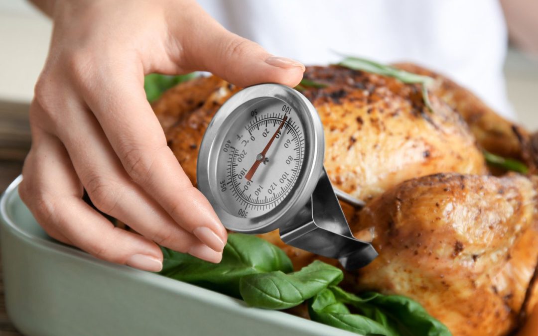 Termómetro punzón alimentos para control y seguridad alimentaria