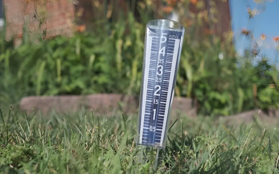 Pluviómetro mecánico profesional: precisión confiable en cada medición