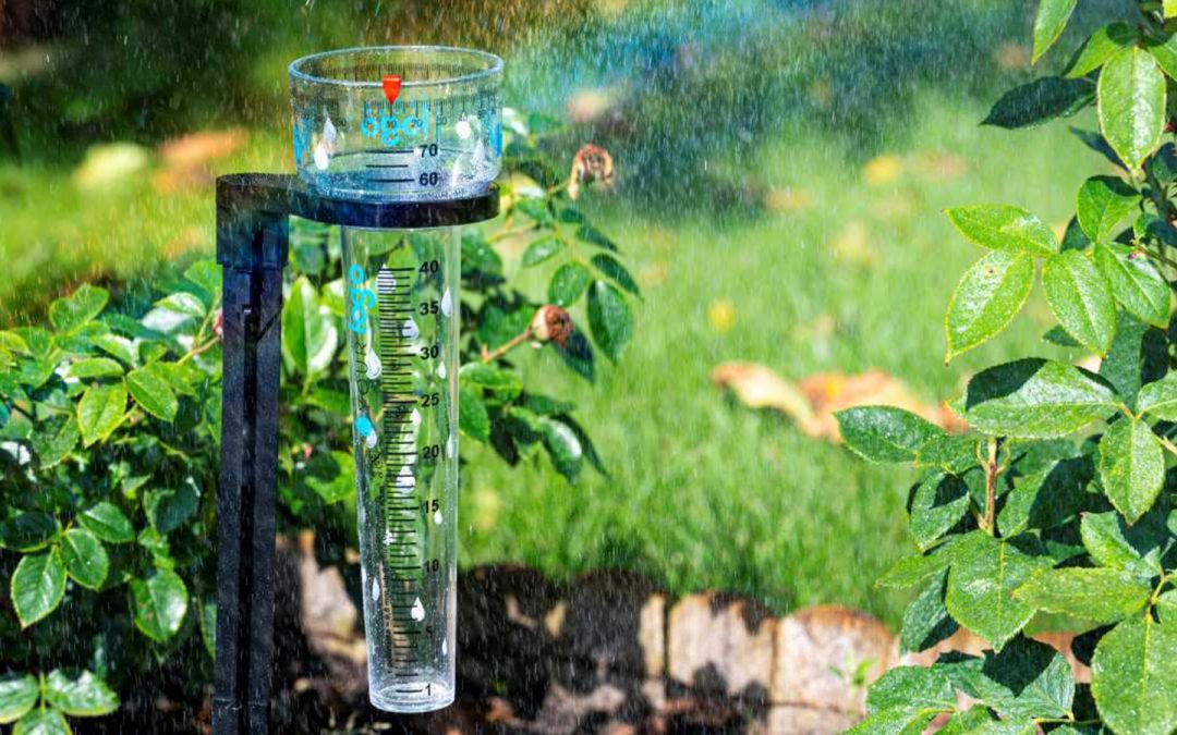 Pluviómetro para agricultura: precisión que impulsa tu cosecha