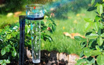 Pluviómetro para agricultura: precisión que impulsa tu cosecha