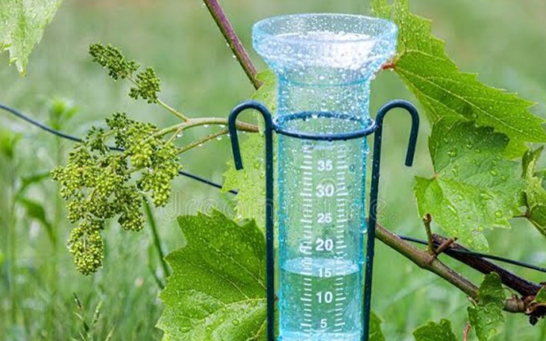 Instrumento medir precipitación: precisión para decisiones estratégicas