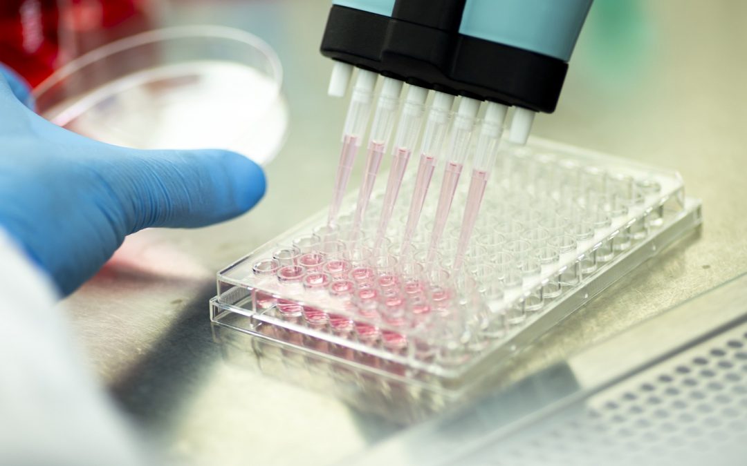 Pipeta multicanal: eficiencia y precisión para laboratorios modernos