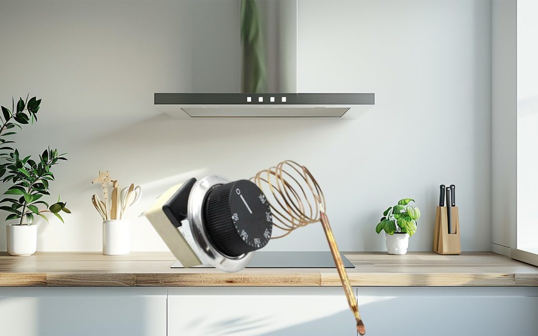 Termostato Cocinas y Procesos para mayor control